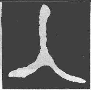 入,大師虘簋,書法字典